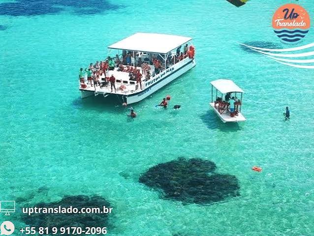Dois noivos e um catamarã